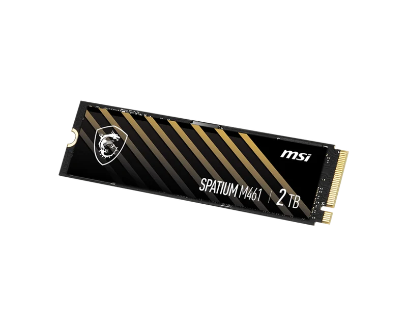 MSI SPATIUM M461 PCIe 4.0 NVMe M.2 2TB