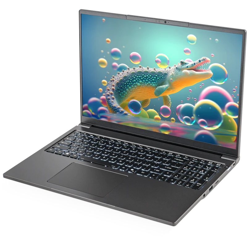 SAGER NP3262U (Clevo L260JUX) Laptop, 16.0" QHD+ 165Hz Display, Intel Core Ultra X7 358H, Intel Arc Graphics, 32GB RAM, 1TB SSD