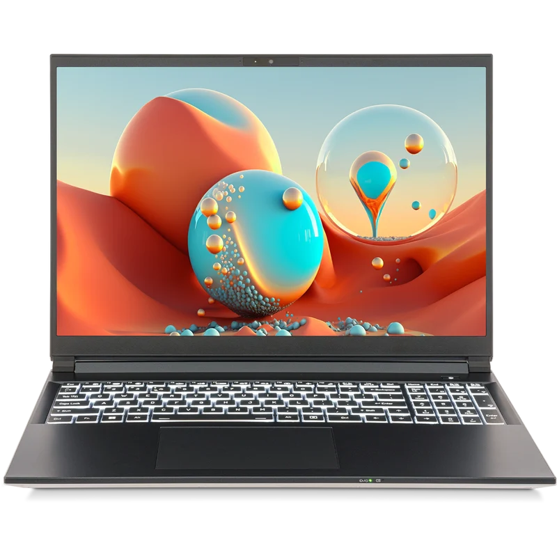 SAGER NP3561U (Clevo V560TU) Laptop, 16" FHD+ Display, Intel Core Ultra 5 225H, Intel Arc 130T, 16GB RAM, 1TB SSD