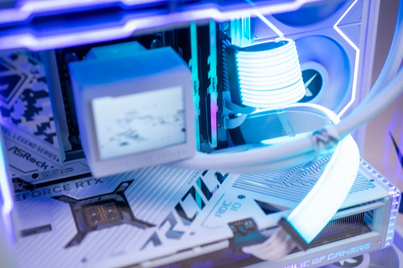 ONAMI WHITE CASE