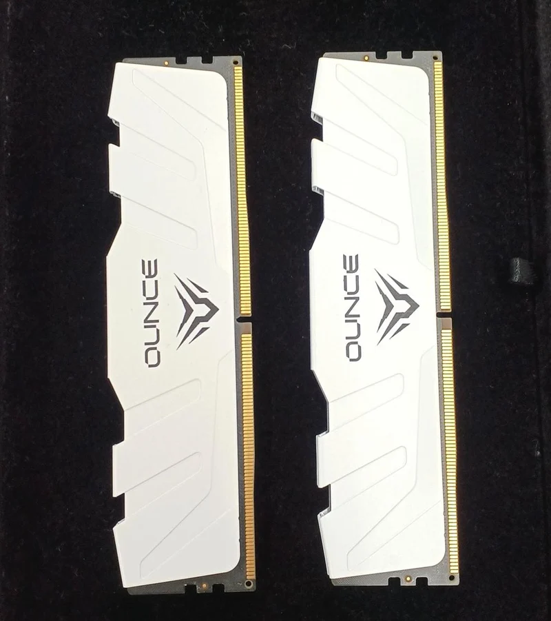 OCMEMORY DDR5 Memory AMEU16G58H-5600