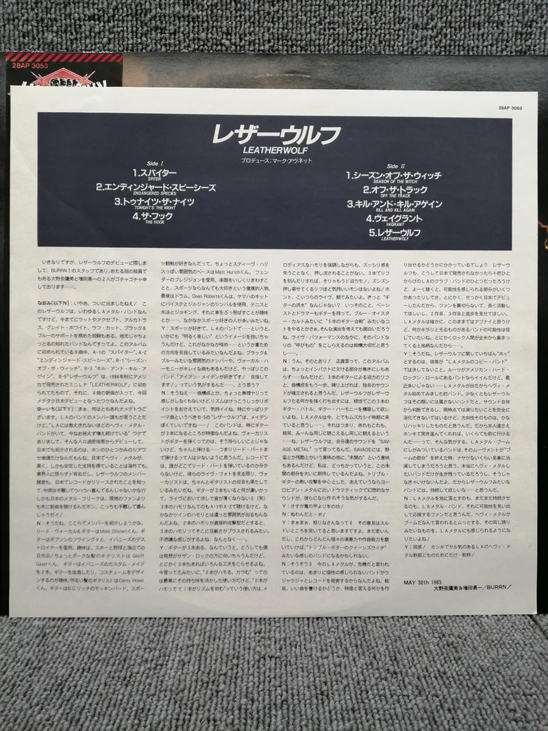 Disque vinyle analogique SONY LEATHERWOLF