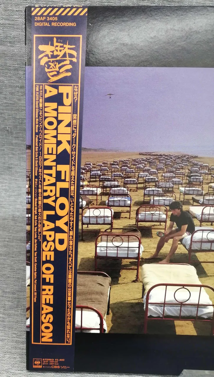 SONY Record: A MOMENTARY LAPE OF REASON