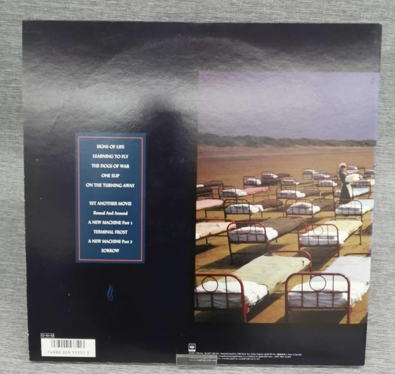 SONY Record: A MOMENTARY LAPE OF REASON