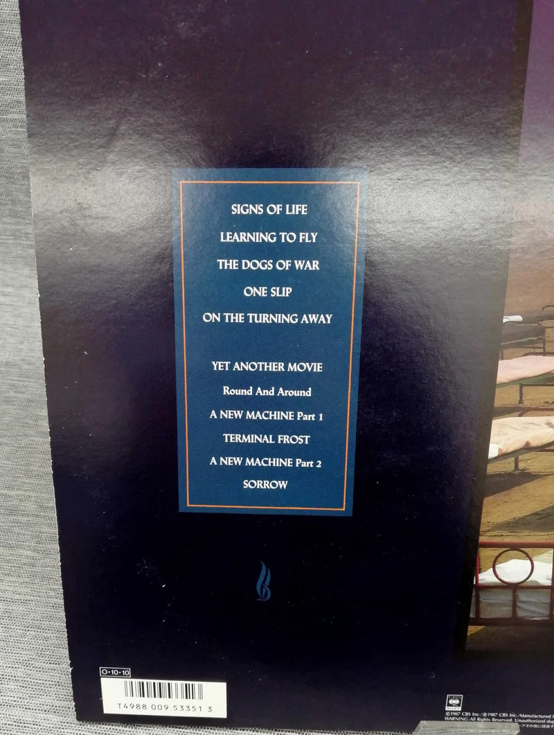 SONY Record: A MOMENTARY LAPE OF REASON