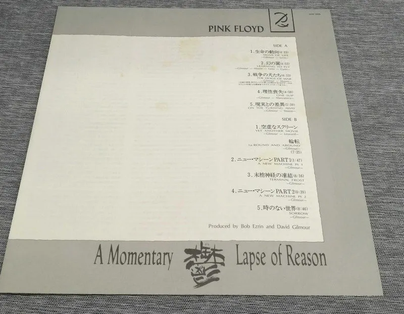 SONY Record: A MOMENTARY LAPE OF REASON