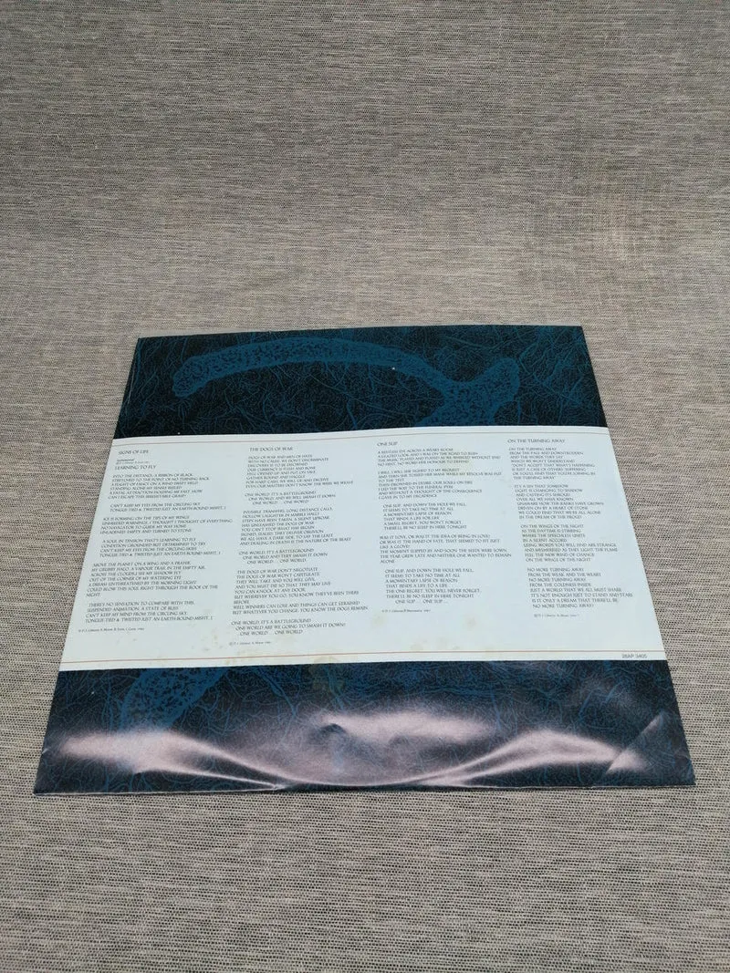 SONY Record: A MOMENTARY LAPE OF REASON