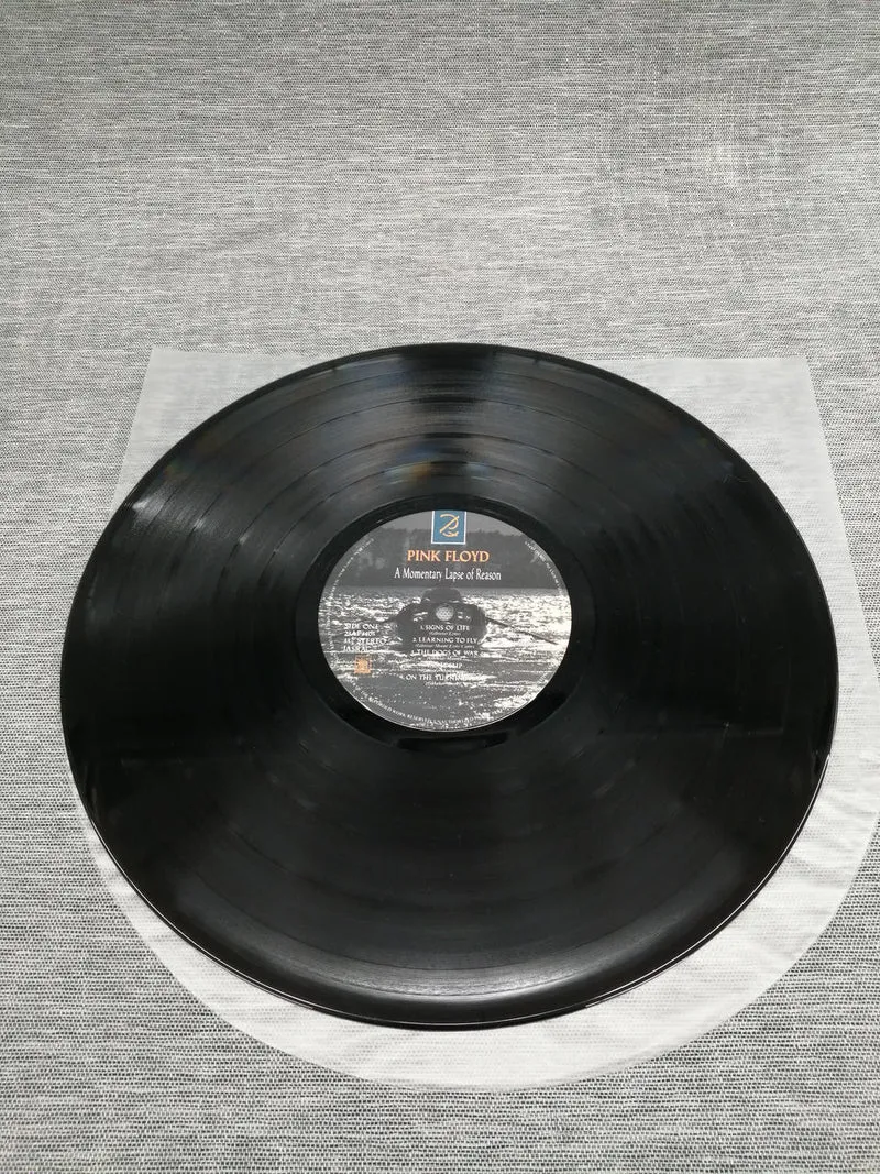 SONY Record: A MOMENTARY LAPE OF REASON