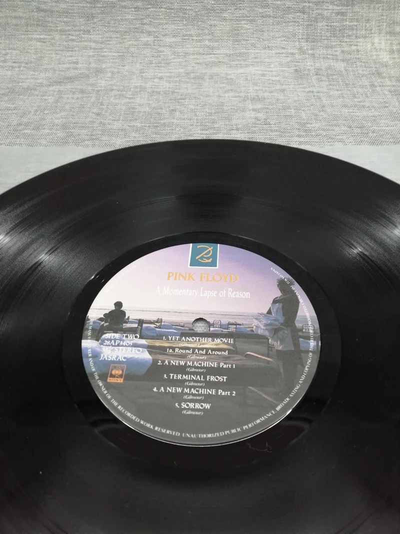 SONY Record: A MOMENTARY LAPE OF REASON