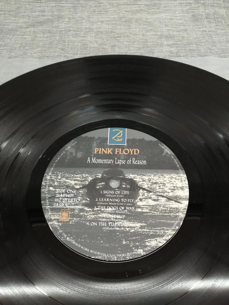 SONY Record: A MOMENTARY LAPE OF REASON