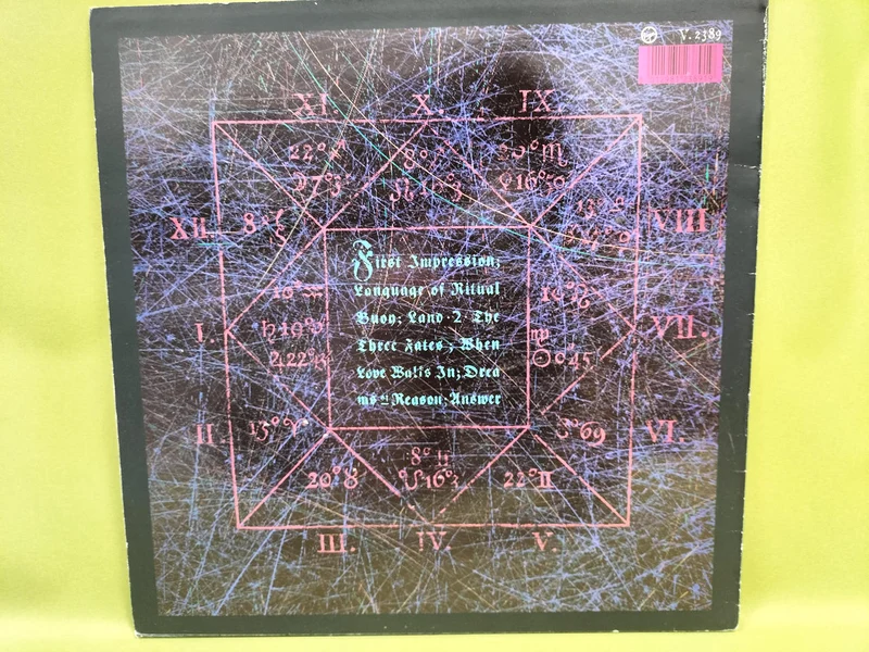 N/B Record : Mick Kahn / DREAMS OF REASON