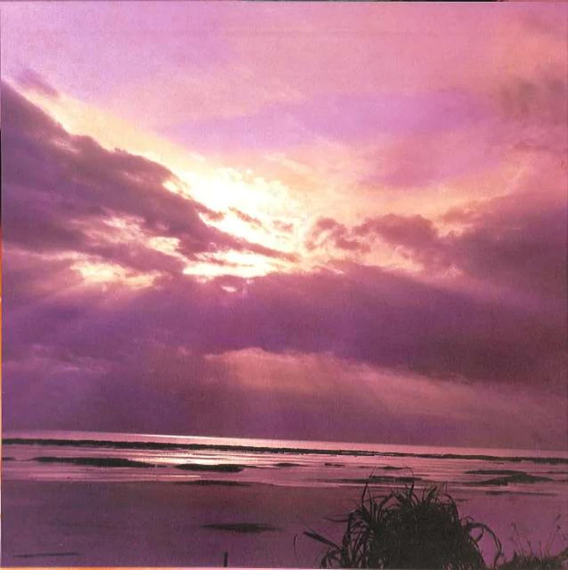 Canyon Miyuki Nakajima "Cold Water Fish" C28A0208
