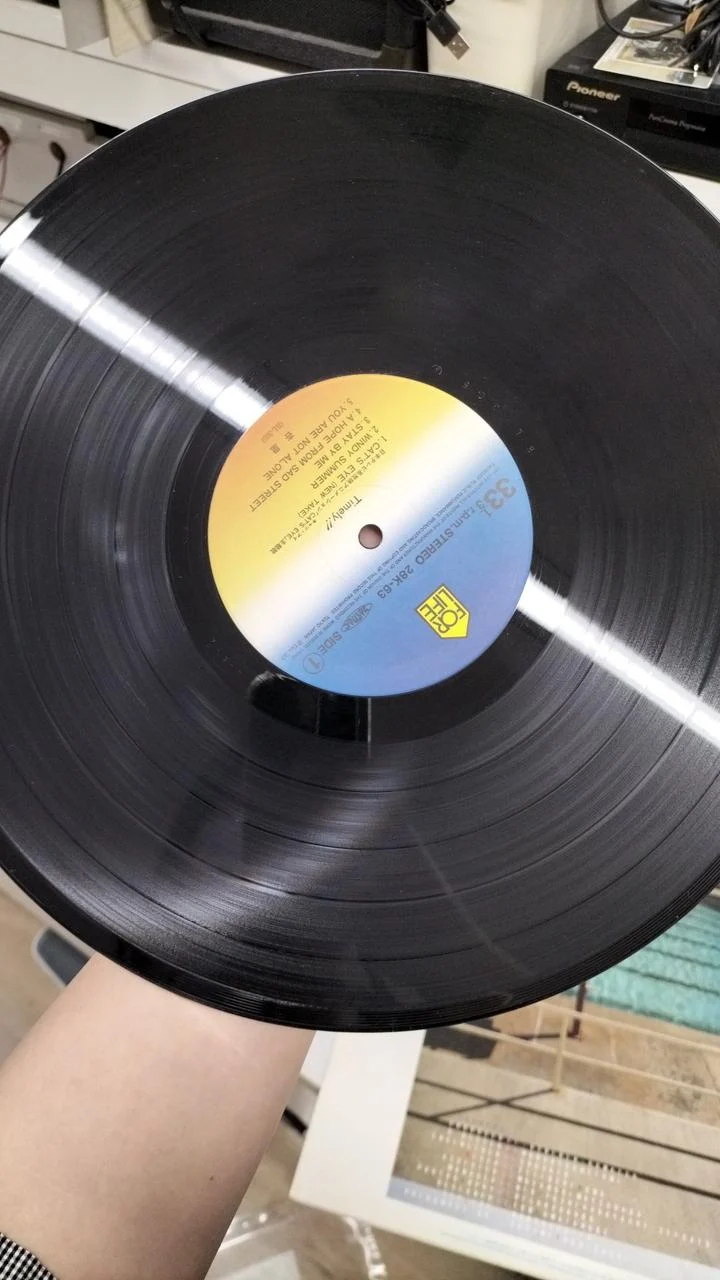 FOR LIFE RECORDS Disque LP 28K-63