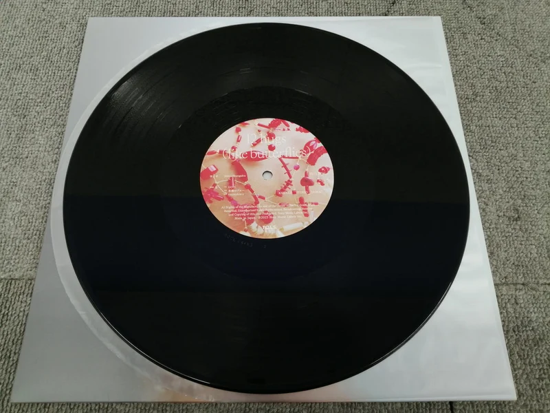 Littérature SONY Sheep / 12HUGS KSJL 6223~4