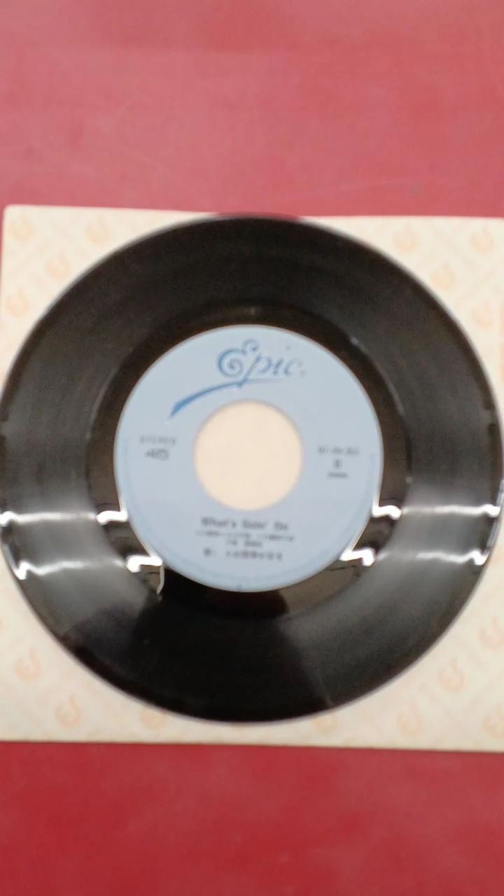 Sony Japanese Music Kahoru Kohiruimaki / CITY HUNTER ~Love, Don't Disappear~