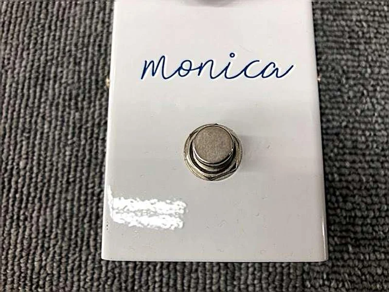 VIRTUES Other Effects Pedal: MONICA ASSH SIGNATURE