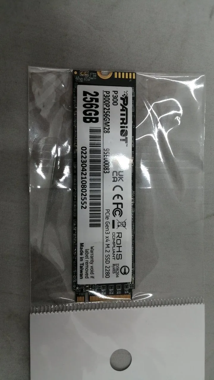 PATRIOT M.2 P300P256GM28