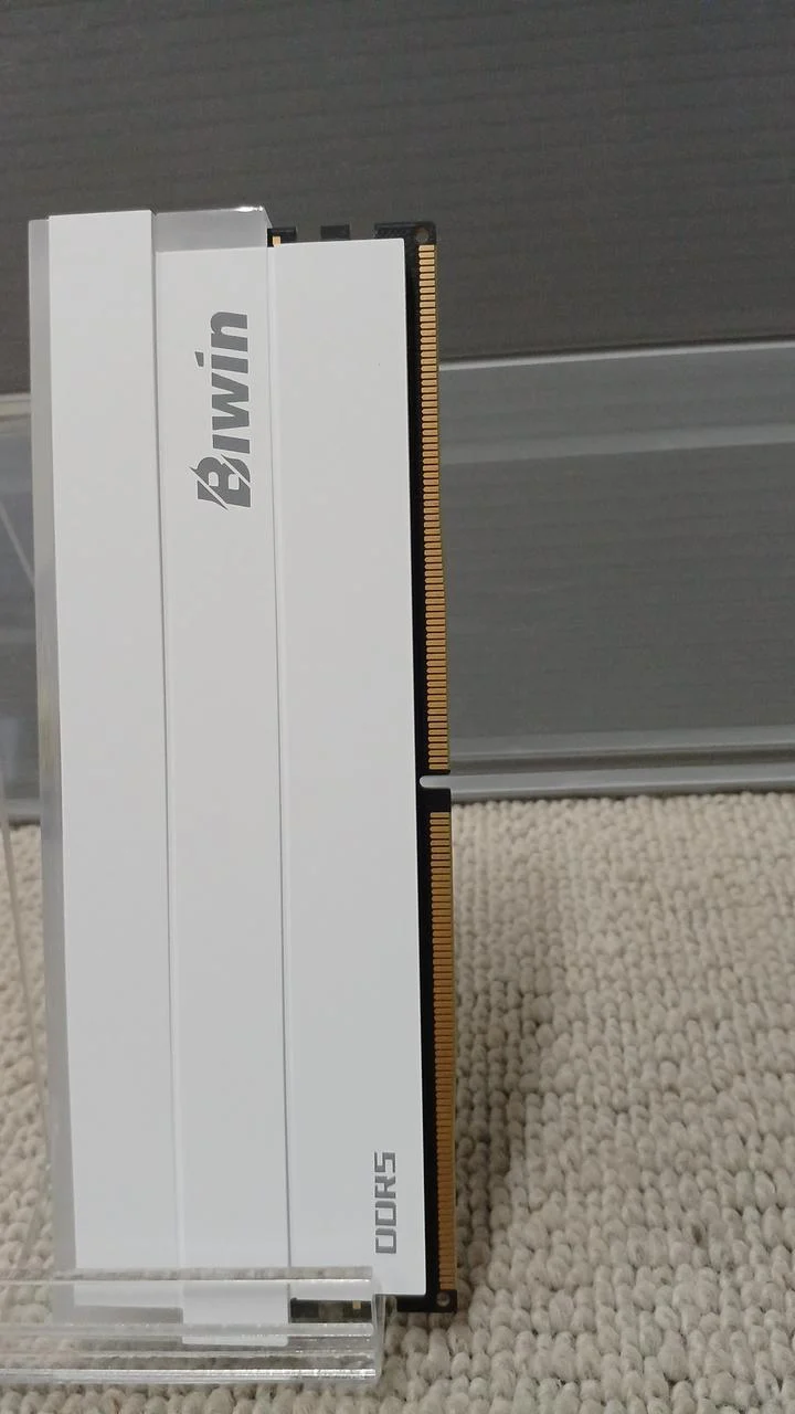 BIWIN Memory B5DW100326030ER-CW001