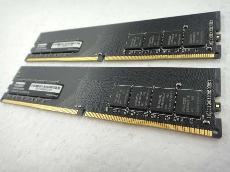 KLEVV DDR4 (PC4)-2666 8 Go x 2 (16 Go au total) KD48GU881-26N190A