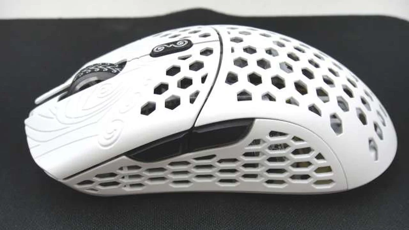 FINAL MOUSE Wireless Gaming Mouse STARLIGHT 12 PEGASUS