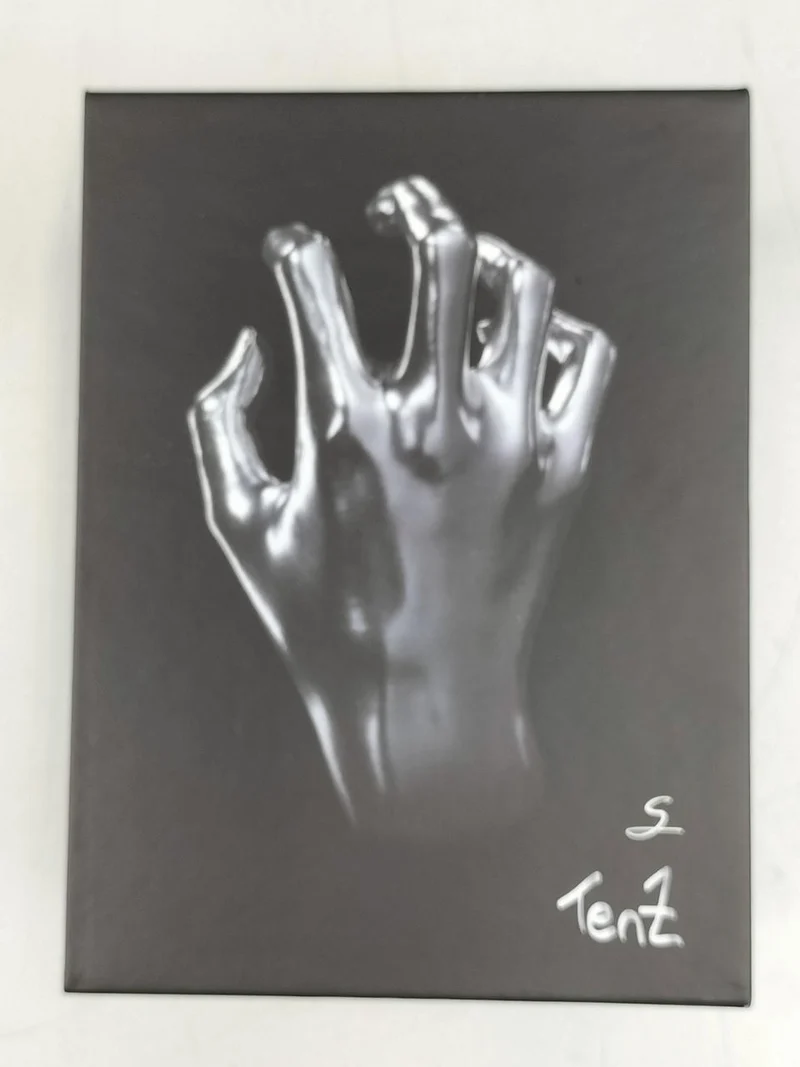 Souris gaming FINALMOUSE TENZ S