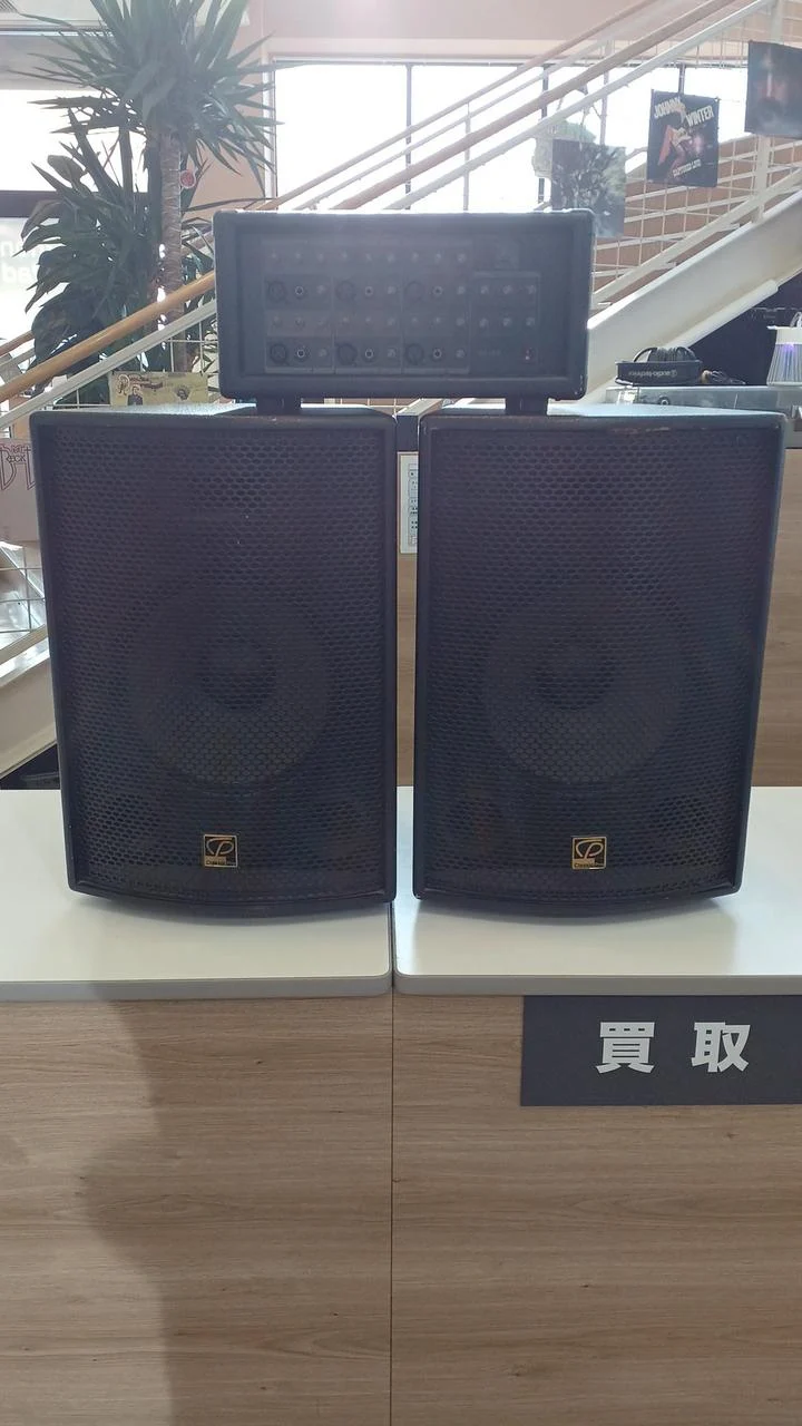 [JUNK] Classic Pro Simple PA System PA12/6
